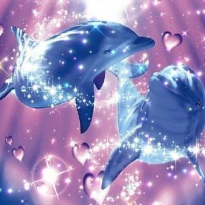 Meet your Posher, Sol mariana